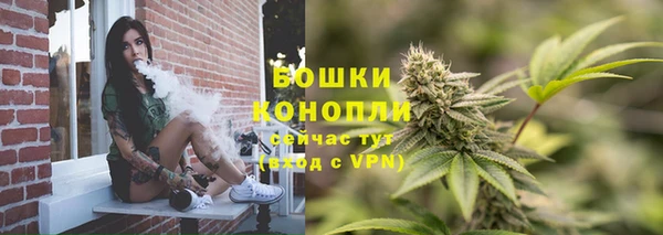 соль ск Арсеньев