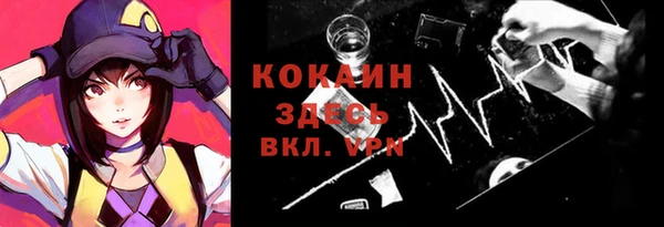 соль ск Арсеньев