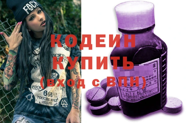соль ск Арсеньев