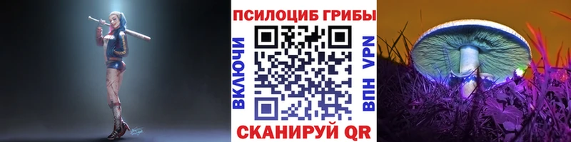 Псилоцибиновые грибы ЛСД  Байкальск 